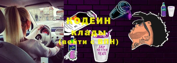 apvp Иннополис