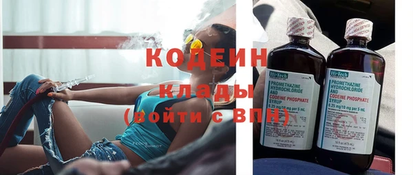apvp Иннополис