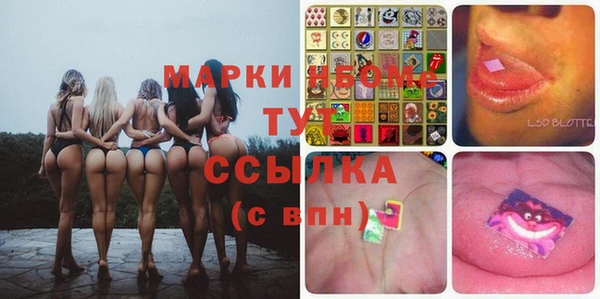 apvp Иннополис