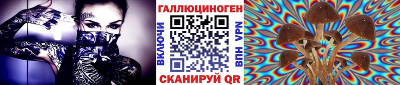 Псилоцибиновые грибы Cubensis  Купить закладки  Канаш 